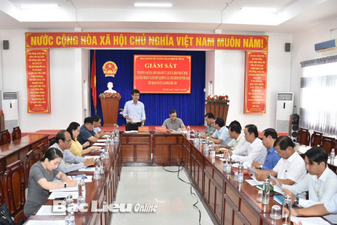 Giám sát công tác quản lý, khai thác, bảo vệ công trình thủy lợi trên địa bàn huyện Hòa Bình