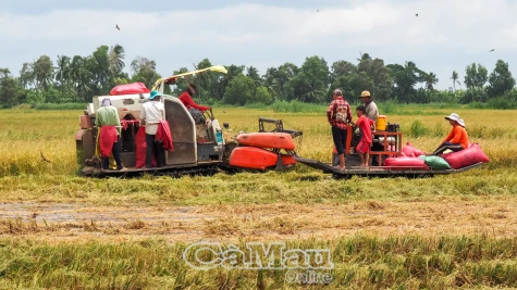 Giảm sức người, tăng hiệu quả