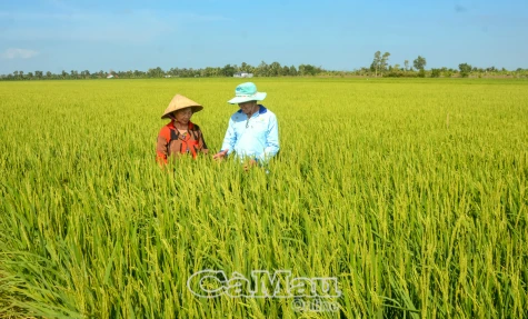 Khoa học công nghệ phải trở thành động lực cho phát triển