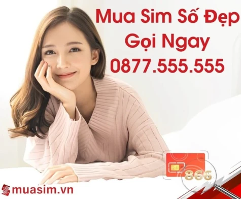 Cập nhật xu hướng chọn mua sim số đẹp năm 2025 để nổi bật và thành công