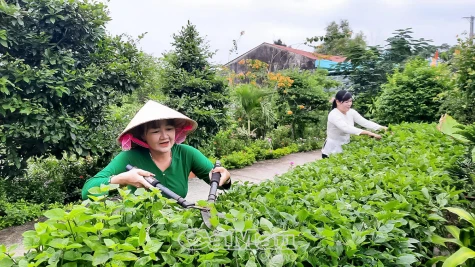 Ðộng lực cho nhiều mục tiêu mới