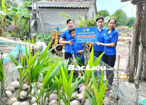 Xã đoàn Vĩnh Hậu A (huyện Hòa Bình): Ươm hơn 1.000 cây xanh, hoa kiểng các loại từ mô hình “Vườn ươm thanh niên”