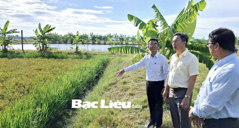 Sở NN&PTNT và huyện Vĩnh Lợi kiểm tra tình hình sản xuất tại xã Hưng Thành