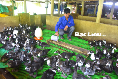 Tìm hướng đi mới phát triển kinh tế tập thể thanh niên
