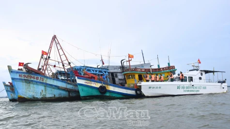 Chủ động theo dõi, ứng phó bão số 10