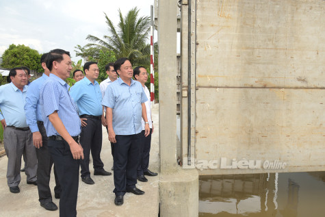 Ngành Nông nghiệp Bạc Liêu và những thành tựu nổi bật trong năm 2024