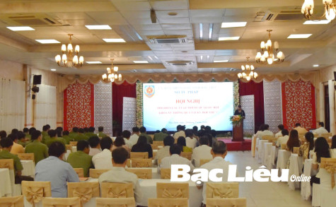 Những Luật có hiệu lực đầu năm 2025