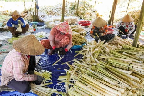 An cư song hành sinh kế