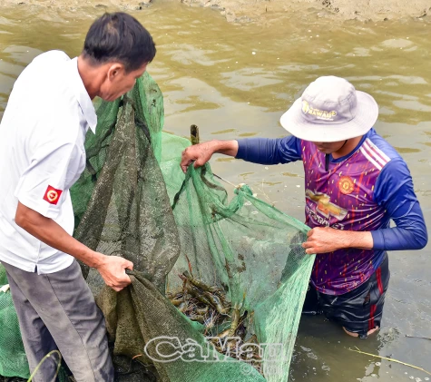 Khả quan công cuộc giảm nghèo của xứ rừng