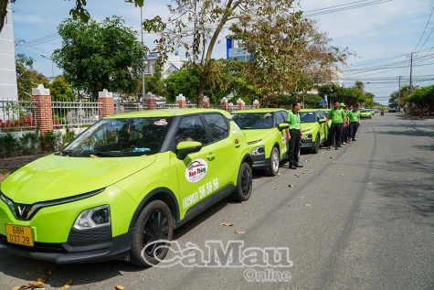 Nhiều tài xế xe taxi điện bỏ làm đòi quyền lợi