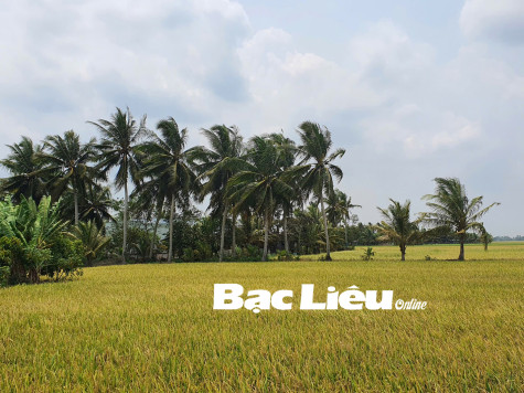 Về phương Nam nhớ người xưa mở đất