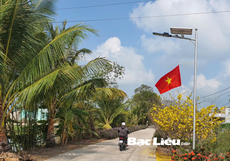 Mai vàng trong ngày Tết ở Nam Bộ
