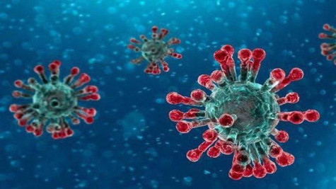 Theo dõi chặt chẽ dịch bệnh do virus gây viêm phổi trên người tại Trung Quốc
