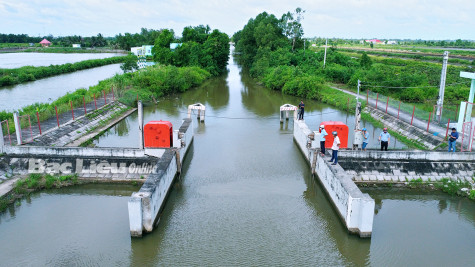 Nông dân kỳ vọng năm mới mưa thuận, gió hòa