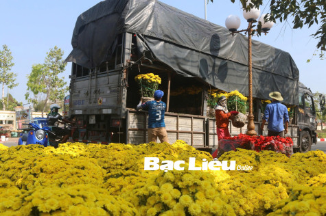 Nơi mùa xuân về sớm