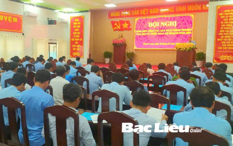 Huyện Phước Long: Tổng kết tình hình sản xuất nông nghiệp năm 2024