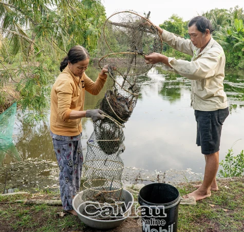 Mùa vui giáp Tết