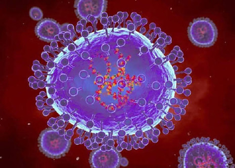 Cách phòng ngừa dịch bệnh do virus HMPV