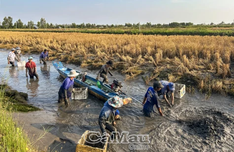 Khoa học, công nghệ - Ðộng lực của phát triển bền vững