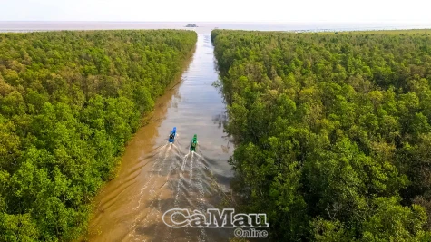 Phát triển đi đôi với bảo vệ