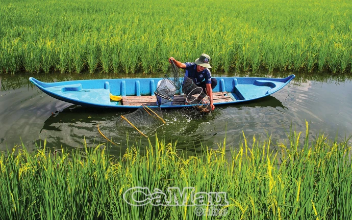 Bắt nhịp nông nghiệp xanh