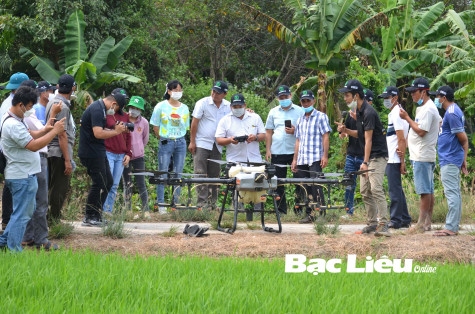 Nông nghiệp Bạc Liêu - Vững bước đi lên