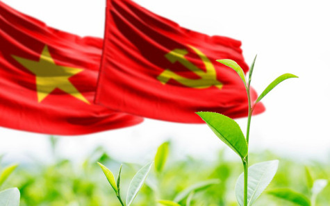 Đảng và​ mùa xuân