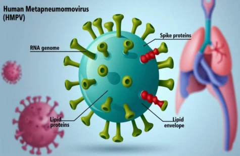 Cần cảnh giác virus HMPV