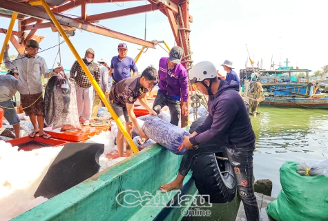 Niềm vui chuyến biển đầu năm