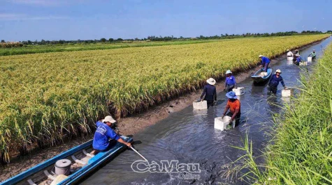 Khá lên nhờ chuyển đổi phù hợp