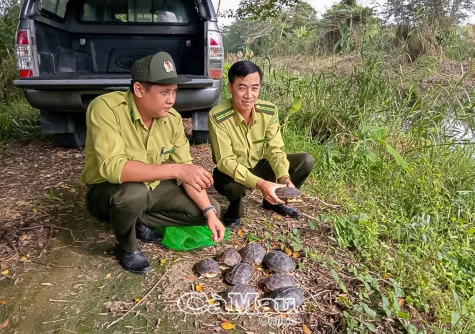 Thay đổi cách ứng xử với động vật hoang dã