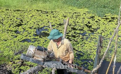 Chuyển từ ứng phó sang chủ động phòng ngừa