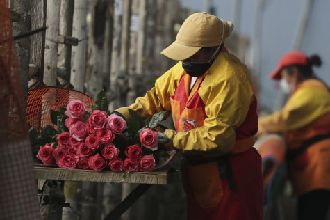 Mùa Valentine năm 2025 trên thế giới