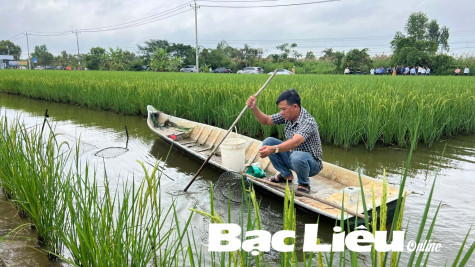 Triển khai các giải pháp phát triển bền vững ngành tôm