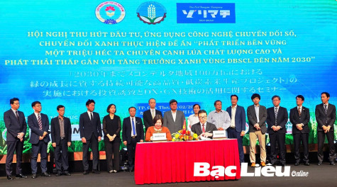 Thu hút đầu tư, ứng dụng công nghệ chuyển đổi số thực hiện Đề án một triệu héc-ta lúa chất lượng cao