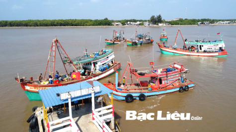 Nhộn nhịp  những chuyến biển đầu năm