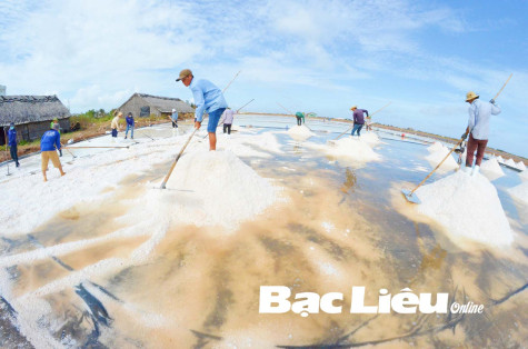 Những diêm dân quyết tâm làm giàu từ “cánh đồng trắng”