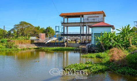 Cần phương án bảo vệ vùng ngọt hoá