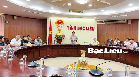 Bạc Liêu đề nghị bổ sung vào Quy hoạch điện VIII 1.000 MW điện gió và 500 MW điện mặt trời
