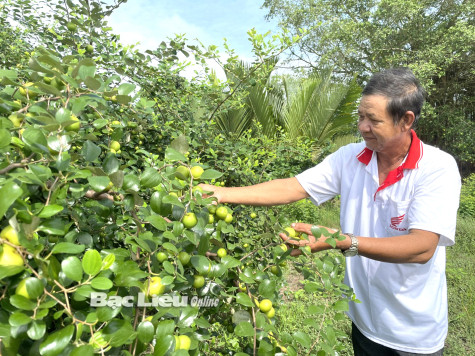Ông Trần Long: Nông dân Khmer làm kinh tế giỏi
