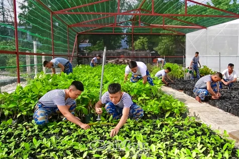 Ra Trường Sa xem “Sơn Ca ba nhất”