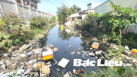 Cần giữ vệ sinh chung cho các tuyến kênh nội ô