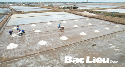 Luật Hợp tác xã 2023: Giúp diêm dân phát triển nghề muối hiệu quả