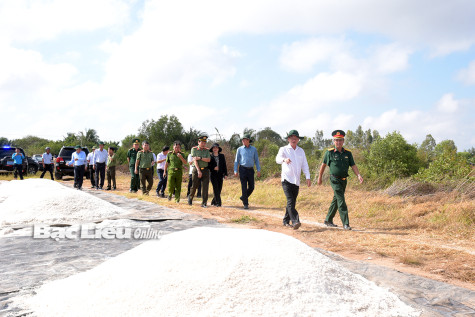 Bí thư Tỉnh ủy kiểm tra công tác chuẩn bị tổ chức Festival nghề Muối Việt Nam - Bạc Liêu 2025