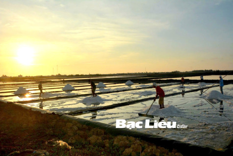 Nghĩ về đất muối Bạc Liêu…