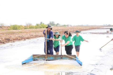 Người dân háo hức chào đón Festival nghề Muối tại Bạc Liêu