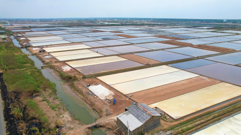 Bảo hộ độc quyền thương hiệu: Nâng cao giá trị sản phẩm muối Bạc Liêu
