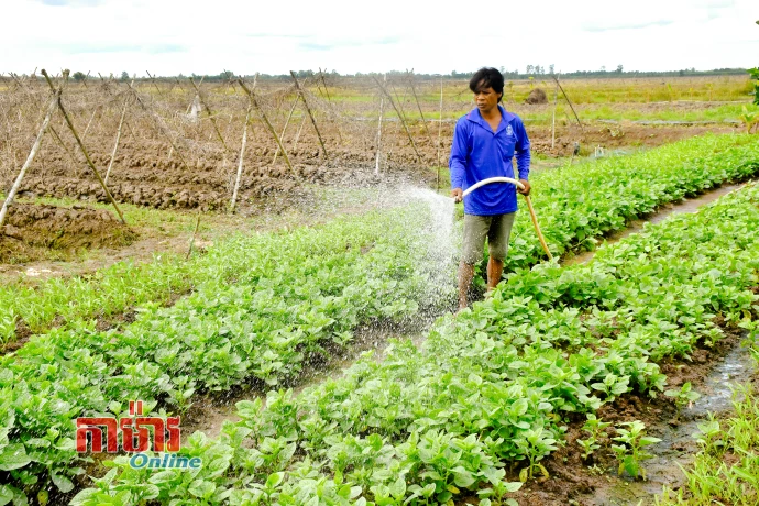 បង្កើនកម្លាំងចិត្តដើម្បីគ្រួសារក្រឈានឡើង