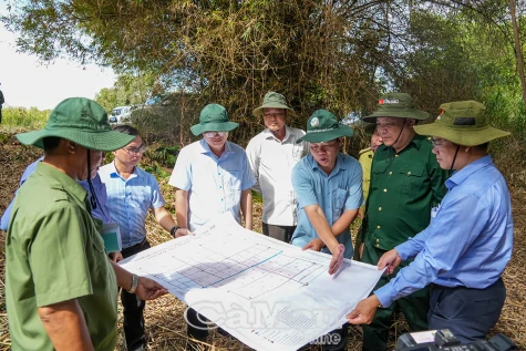 Công tác phòng chống cháy rừng cần được triển khai thực hiện quyết liệt hơn