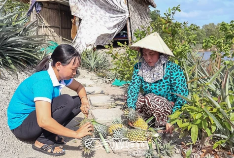 Tăng thu nhập nhờ chuyển đổi cây trồng phù hợp